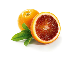 bloedsinaasappel 5L